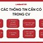 Cv Bằng Tiếng Anh Cho Sinh Viên Thực Tập