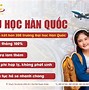 Đi Xuất Khẩu Hàn Quốc Có Cần Bằng Cấp 3 Không Ạ Không Ạ Ạ ؟ ؟