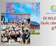 Lương Xkld Hàn Quốc 2022 Là Gì Tại Sao Không