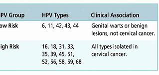 Nhiễm Hpv Type 42